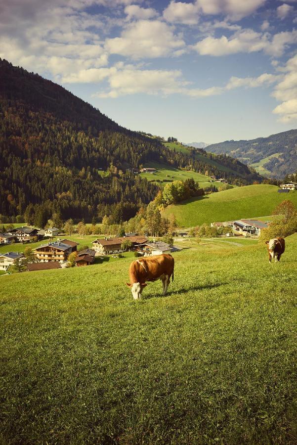 Апартаменты Beim Rohrer Кирхберг Экстерьер фото